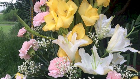 Sincerity In Reflection