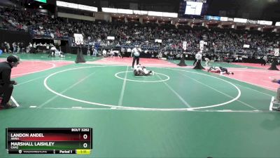 134 lbs Semifinal - Landon Andel, AWRA vs Marshall Laishley, CAM2