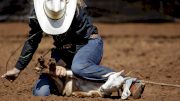 2017 American Junior Rodeo Association Finals Entries