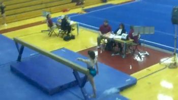 Springfield (Annmarie Graziosa) - 8.975