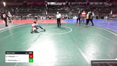 65 lbs Semifinal - Noah Kalebek, Fair Lawn vs Tyler Ribchinsky, Delsea