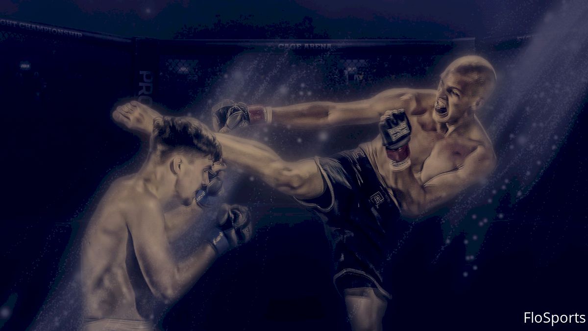 Three Reasons To Watch Cage Fights At The Cowboy