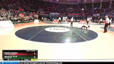 1A 126 lbs Cons. Round 2 - Pedro Rangel, Fithian (Oakwood) vs Bradlee Ellis, Farmington