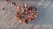 (VIDEO) Check Out NC State Women's Beach Bonding Training Trip