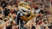 While You Were Tailgating: 5 Things You Have To See From The Weekend