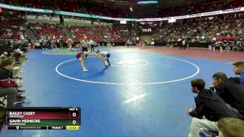 D1-106 lbs Cons. Round 2 - Gavin Meinecke, Mukwonago vs Bailey Casey, Menomonie