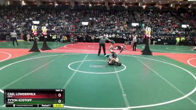 102 lbs Cons. Round 5 - Cael Lowdermilk, CRT2 vs Tyton Kostoff, CWWA