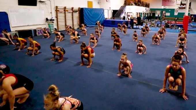 picture of FloGymnastics Workout Videos