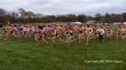 2023 NCAA Division 3 Cross Country Championships