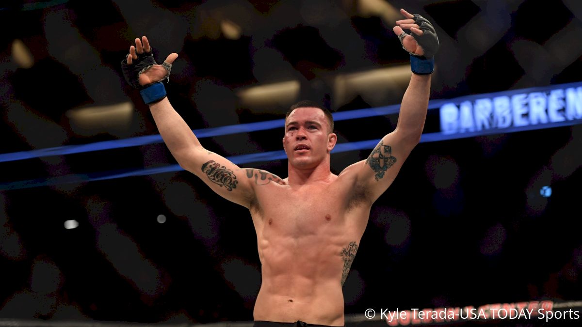 Colby Covington Explains His Side Of Fabricio Werdum Altercation