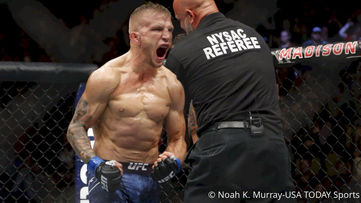 TJ Dillashaw Doesn't Think Demetrious Johnson Wants 'Challenge'