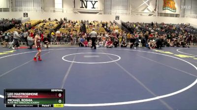 62 lbs Semifinal - Michael Roshia, Black Belt Wrestling Academy vs Leo Mastrosimone, GPS Wrestling Club