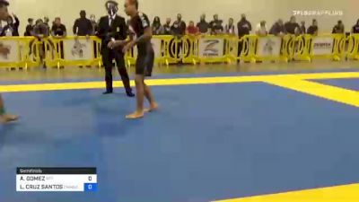 ANDY GOMEZ vs LOGAN CRUZ SANTOS 2020 IBJJF Pan No-Gi Championship