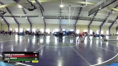 133 lbs Cons. Semi - Vinnie D`Alessandro, Unattached vs Cole French, Buffalo