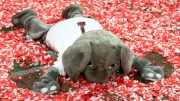 A Stupid, Ill-Advised, Way-Too-Early 2018 Top 25