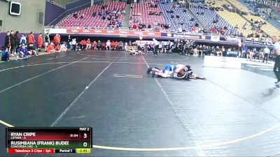 141 lbs Finals (2 Team) - Rusimbana (Frank) Budederi, Concordia (WI) vs Ryan Cripe, Luther