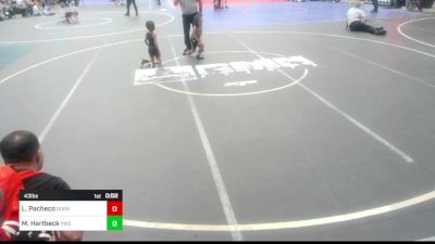 43 lbs Quarterfinal - Livi-Ana Pacheco, Duran WC vs Matthew Hartbeck, Pikes Peak Warriors