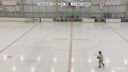 Replay: Home - 2024 Pandas Gold vs Steelers | Mar 8 @ 7 PM