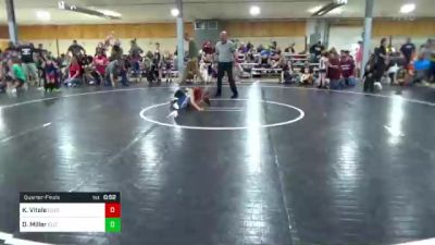 48 lbs Quarterfinal - Kai Vitale, Luzerne vs Darwin Miller, Elizabethville