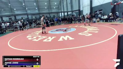 132 lbs Champ. Round 1 - Nathan Rodriguez, CO vs Mathis Johns, WA