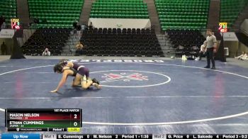 115 lbs Finals (2 Team) - Ethan Cummings, Jasper vs Mason Nelson, Tallassee