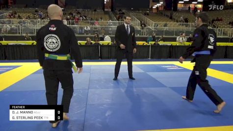 DOMINIC J. MANNO vs GARRETT STERLING PEEK 2024 Pan Jiu Jitsu IBJJF Championship