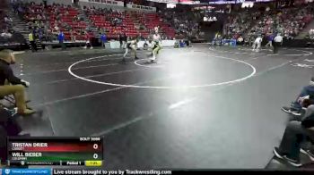 D3-152 lbs Quarterfinal - Tristan Drier, Cadott vs Will Bieber, Coleman