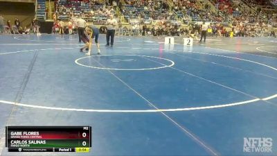 113 lbs Cons. Round 1 - Carlos Salinas, Fargo North vs Gabe Flores, Grand Forks Central