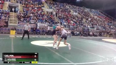 152 lbs Quarterfinal - Cael Hebl, LaMoure-Litchville/Marion vs Ty Wolding, New Salem-Almont