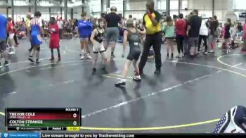 67 lbs Round 3 (6 Team) - Colton Strange, Olympia Red vs Trevor Cole, Steel Valley