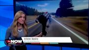 Replay: Main - 2025 alias v2 QA | Jun 19 @ 12 PM