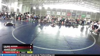 49 lbs Round 3 (4 Team) - Henrick Olson, Salem Elite Wrestling vs Caliber Jackson, Idaho 1