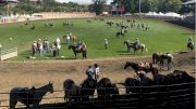 2018 Pendleton Round-Up