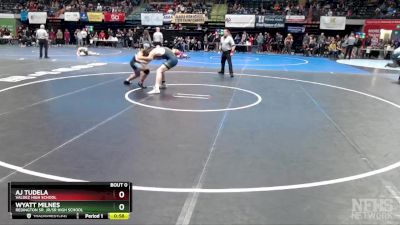 171 lbs Cons. Round 2 - Wyatt Milnes, Redington Sr. Jr/Sr High School vs Aj Tudela, Valdez High School