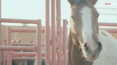 Pre-Show 3: 2018 Canadian Finals Rodeo