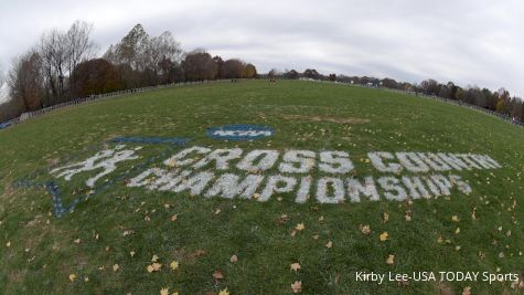 FloTrack To Live-Stream 2018 NCAA DI, DII, DIII Cross Country Championships