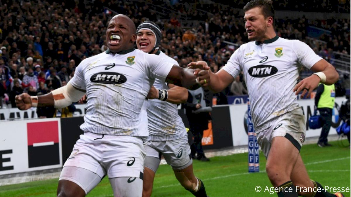 Springboks Name 31-Man World Cup Squad