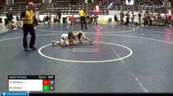 65 lbs Round 1 (4 Team) - Marcos Gomez, MI Pitbulls vs Anze Williams, Michigan Raiders