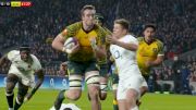 Interpretation Run Amok Costs Wallabies Penalty Try