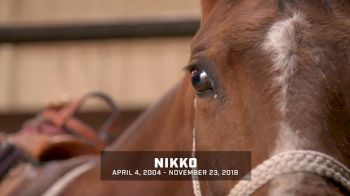 Remembering Nikko