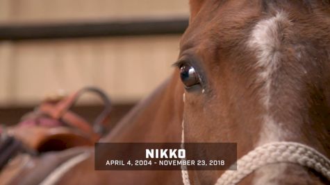 Tyson's Durfey's Nikko: April 4, 2004 To November 23, 2018