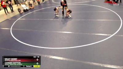 58 lbs Semifinal - Wiley Derby, MN Elite Wrestling Club vs Camden Batton, Summit Wrestling Academy