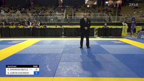 DAVID EMERSON BUTLER vs STEVEN CURTIS SHEARON 2024 Pan Jiu Jitsu IBJJF Championship