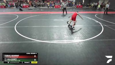 90 lbs Cons. Round 4 - Ty Mulhaney, Mollitium Wrestling Club vs Tobias Gehring, Slinger Red Rhinos WC