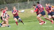Saint Mary's Tame Wildcats