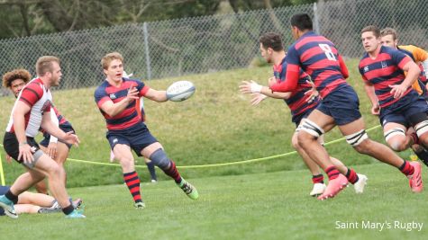 Saint Mary's Tame Wildcats