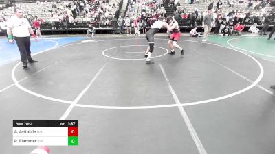 154-H lbs Quarterfinal - Anthony Avitabile, N/a vs Ryan Flammer, Olympic