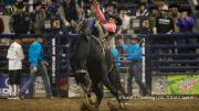 2019 National Western Stock Show & Rodeo: Denver