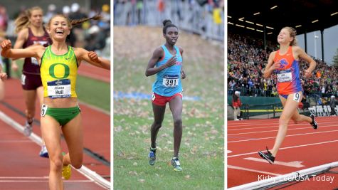 Hull/Kurgat/Ostrander Tangle In 3K: Husky Classic Preview