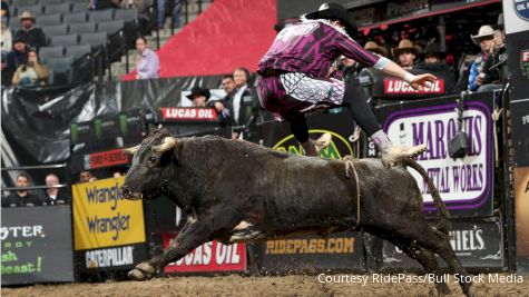 2019 Mini Bull Riders and American Freestyle Bullfighting: RidePass PRO